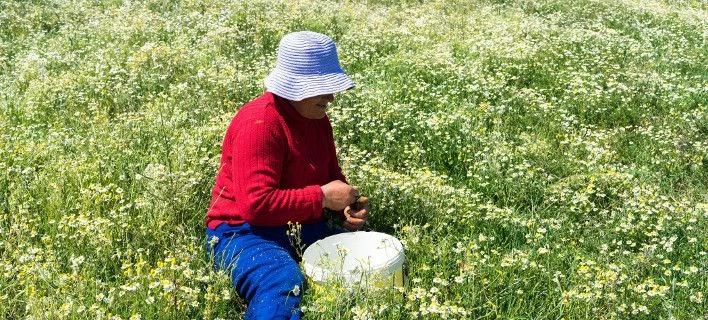 Στα 7.500 ευρώ το ακατάσχετο όριο για τους λογαριασμούς των αγροτών